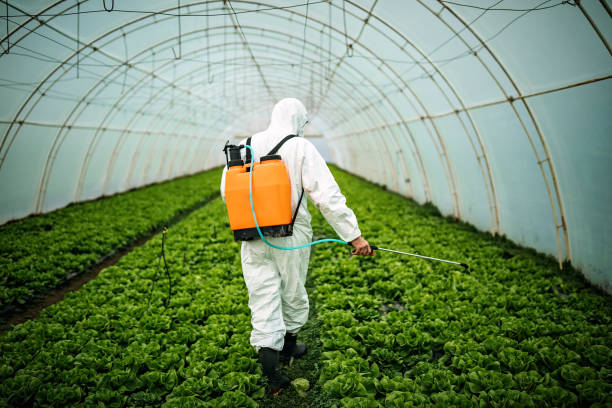 Best Pest Removal Services  in Kearny, AZ