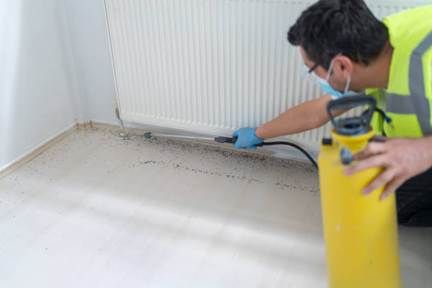 Best Pest Prevention Services  in Kearny, AZ